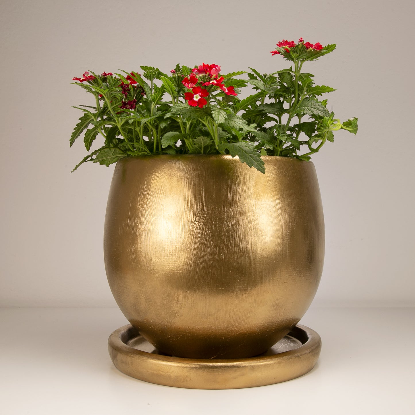 Concrete | Oro