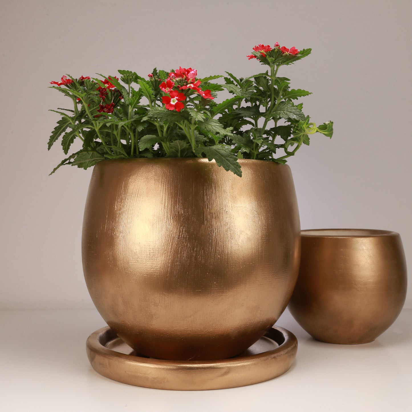 Concrete | Oro